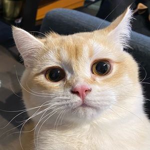 Meet your Posher, May